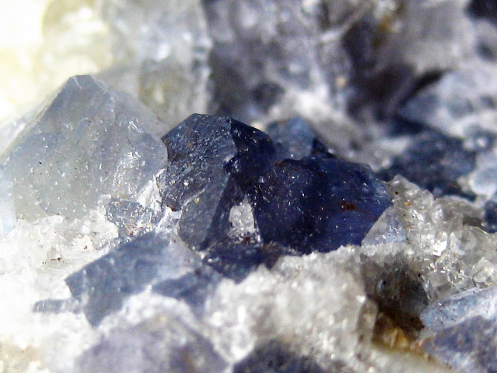 fluorine bleue 1 (2).JPG