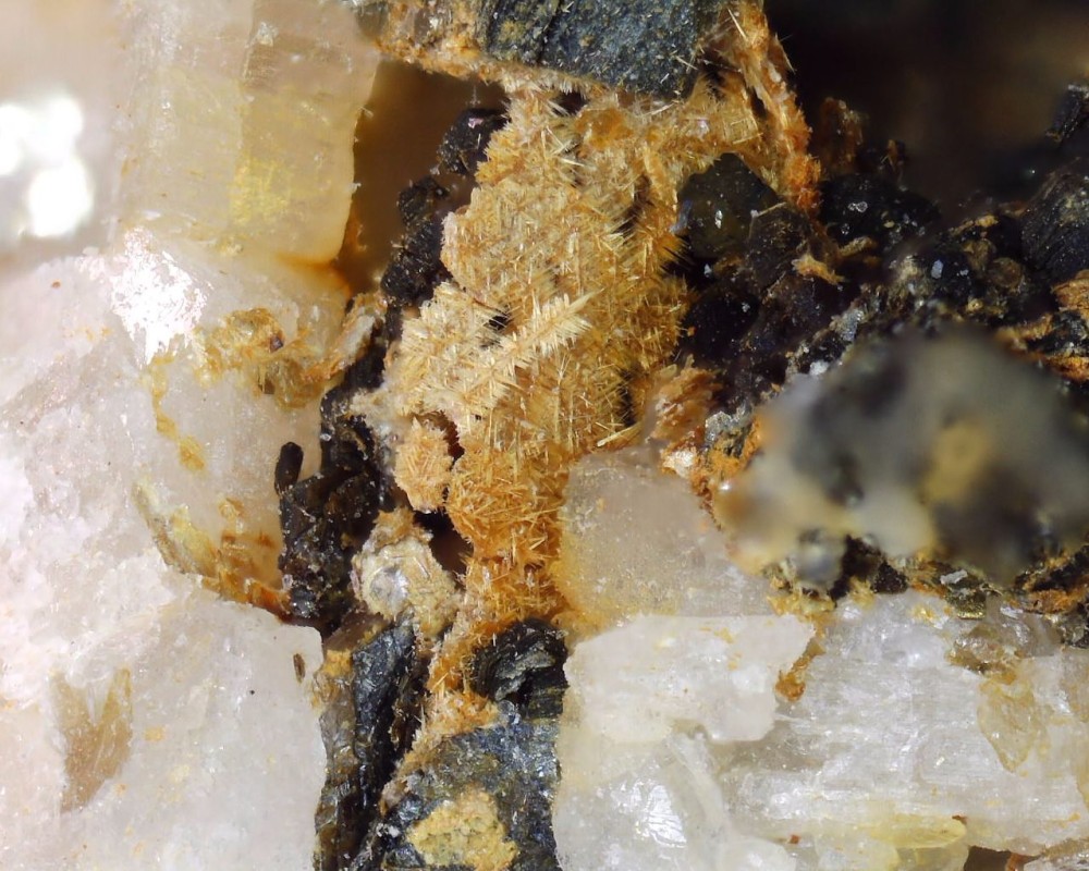 2022-12-27 14-00-57 (B,R1,S4).jpg