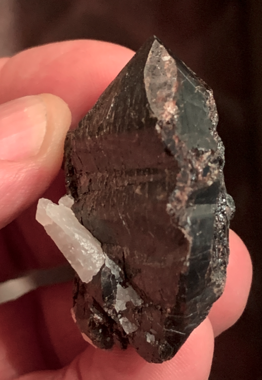 Capture d’écran 2022-12-18 à 20.52.50.png