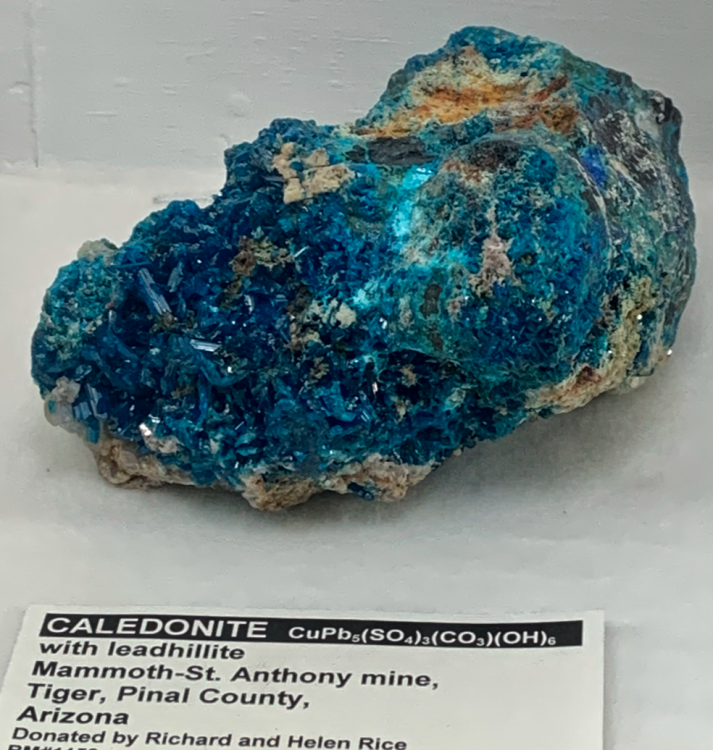 Capture d’écran 2022-12-24 à 17.19.49.png