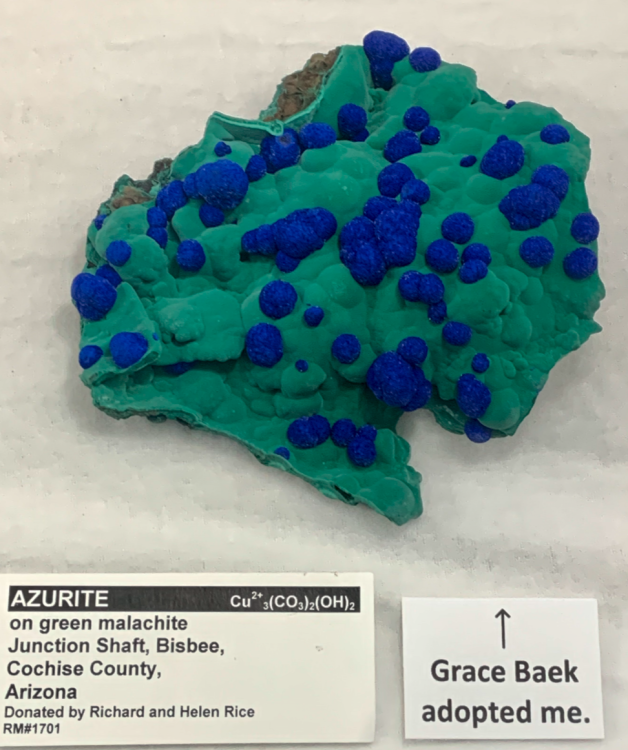 Capture d’écran 2022-12-24 à 17.16.38.png