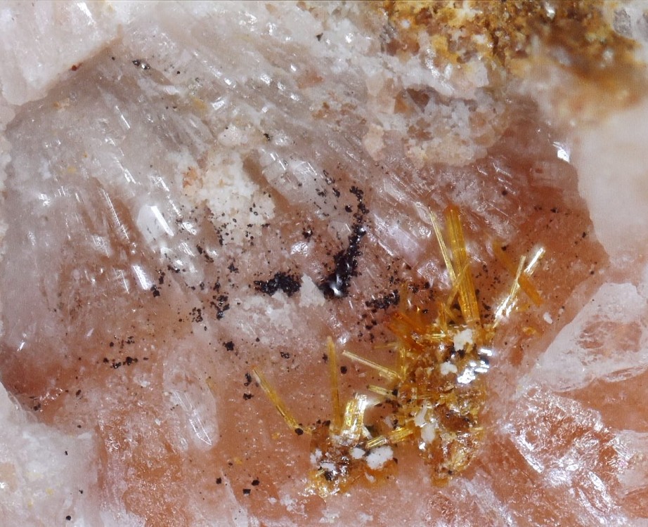 2022-12-16 14-54-21 (C,S4).jpg