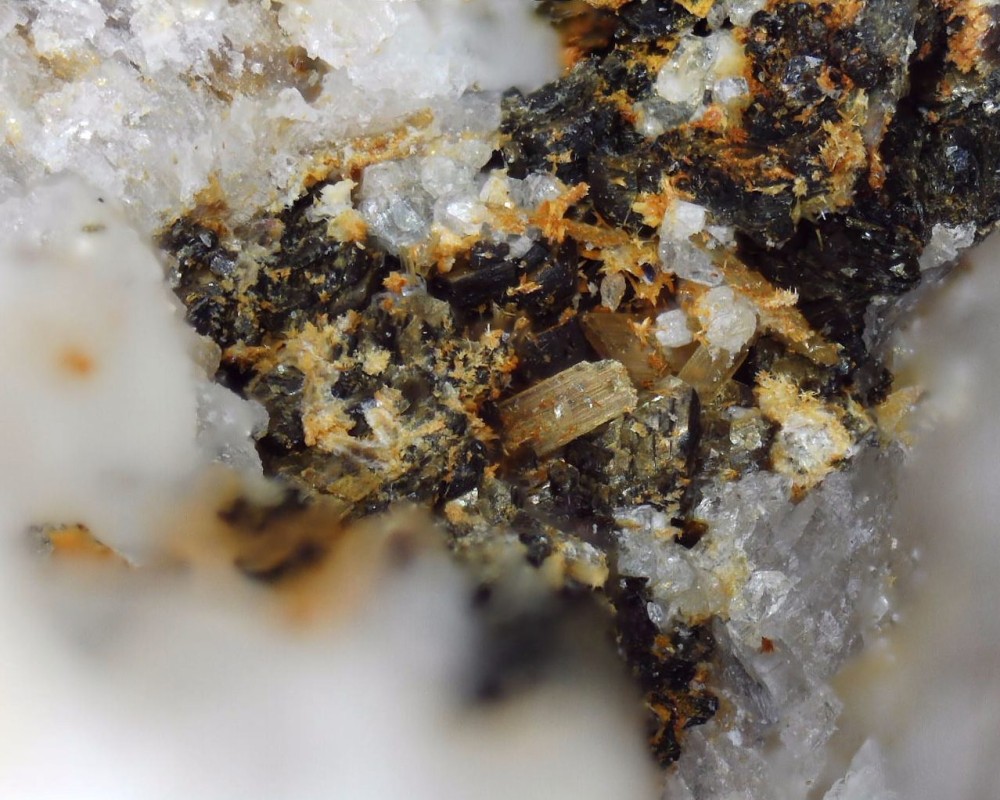 2022-12-27 14-14-36 (B,R1,S4).jpg