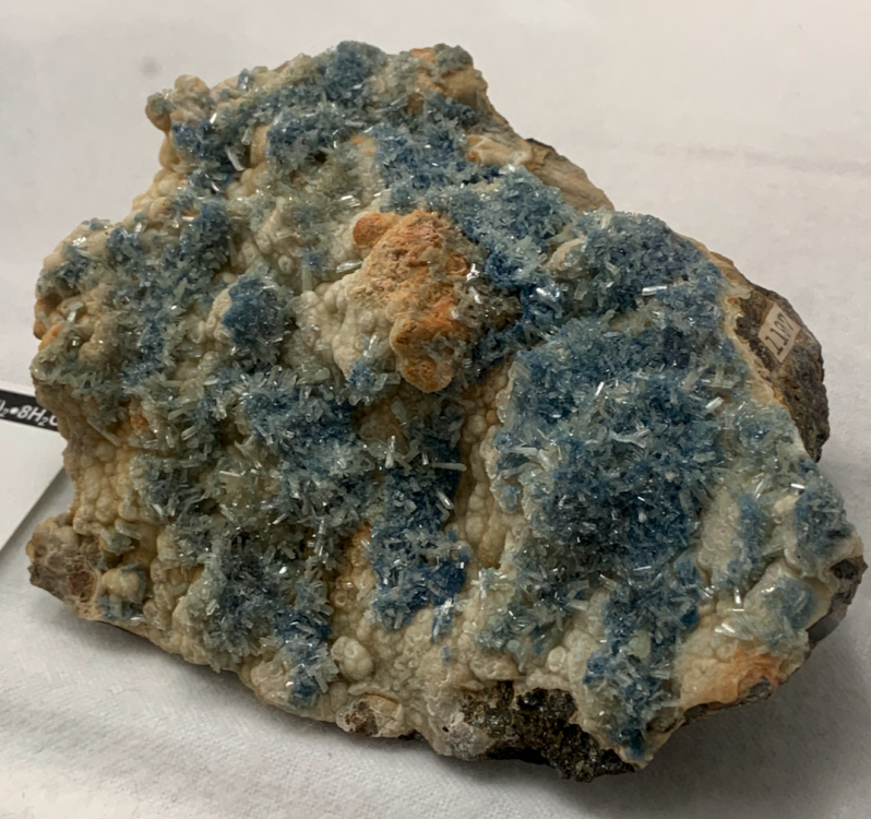 Capture d’écran 2022-12-21 à 04.41.36.png