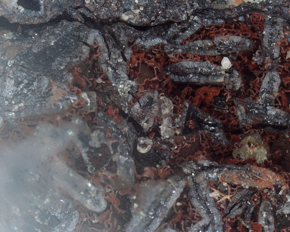 2023-01-17 17-16-11 (A,R1,S4).jpg