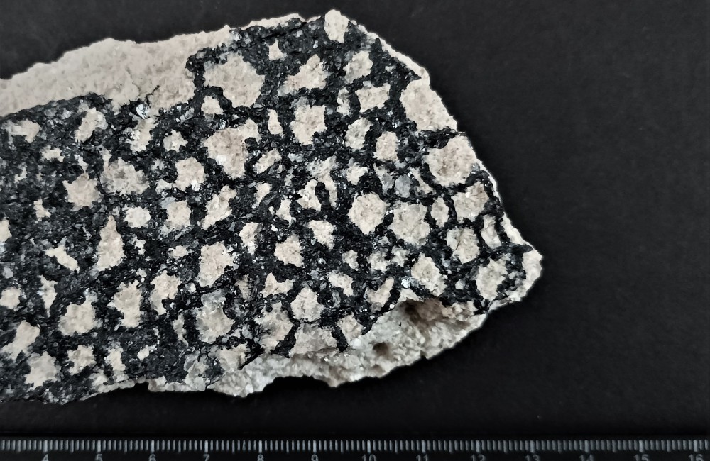 IMG_20230115_170719 E1.jpg