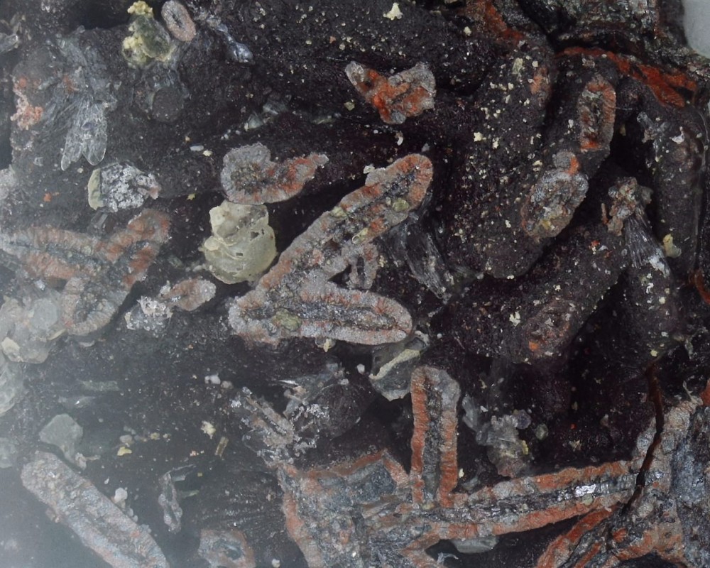 2023-01-17 15-55-31 (A,R1,S4).jpg