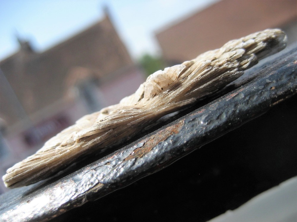 gypse en formation d étoile 2 (2).JPG