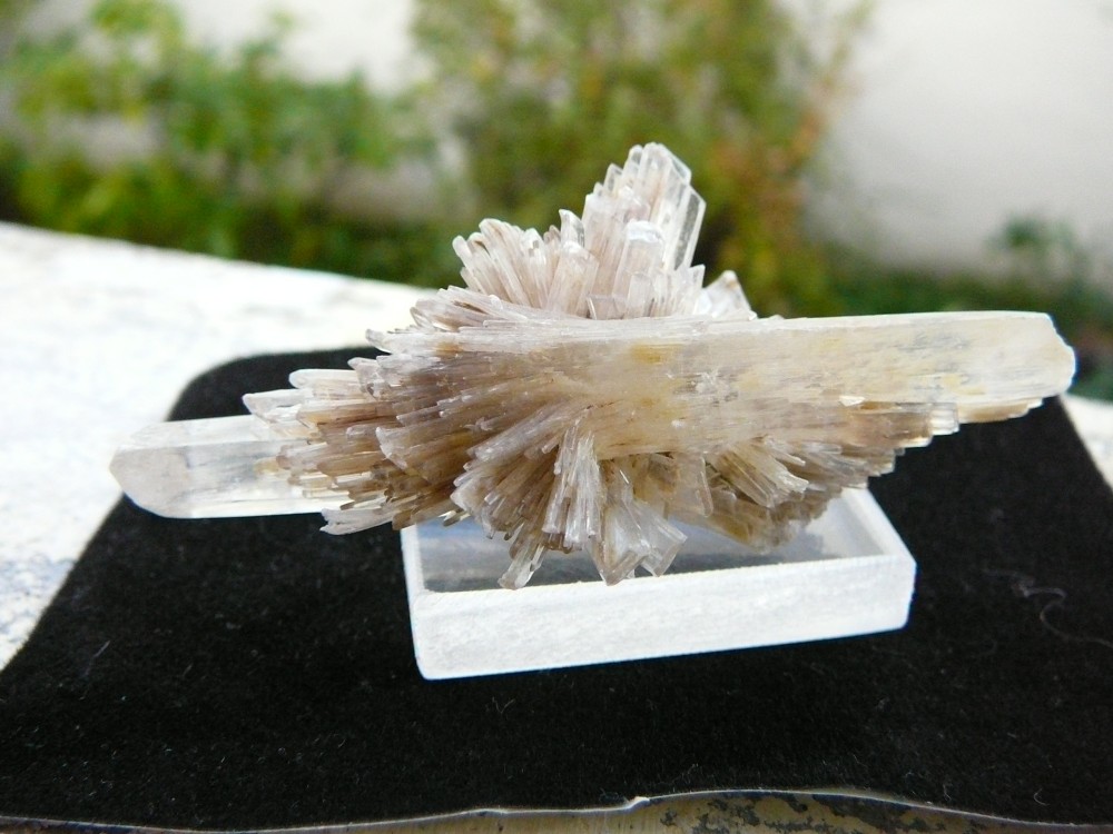 Gypse Angervilliers Essonne France 3.JPG