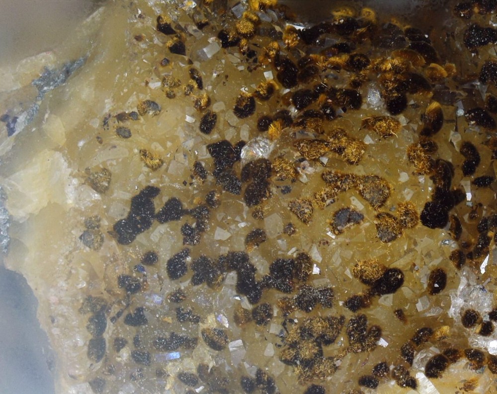 2023-01-17 17-19-05 (A,R1,S4).jpg