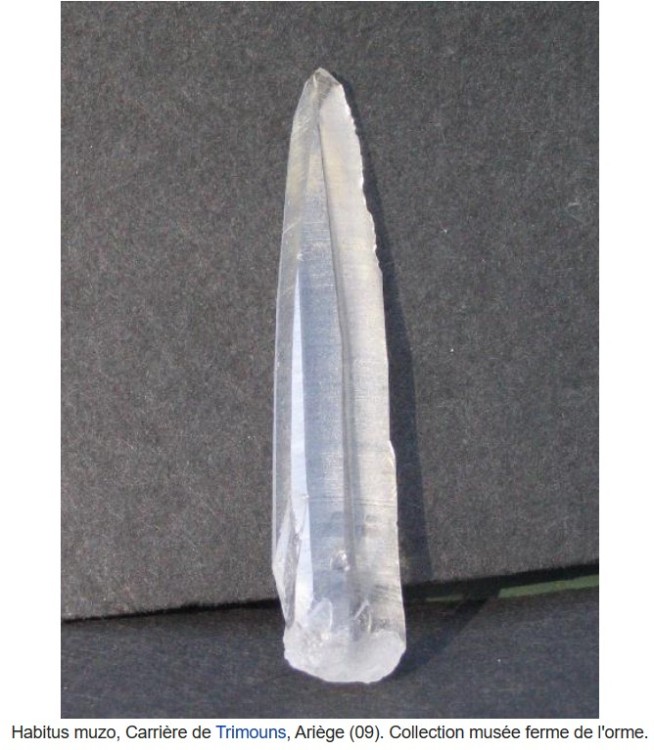 Capture d’écran 2023-01-08 192501.jpg