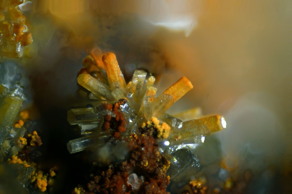 165-1078-27 Mimetite - Les Vieux Travaux (Gard - France) - FOV 1.78 mm.jpg