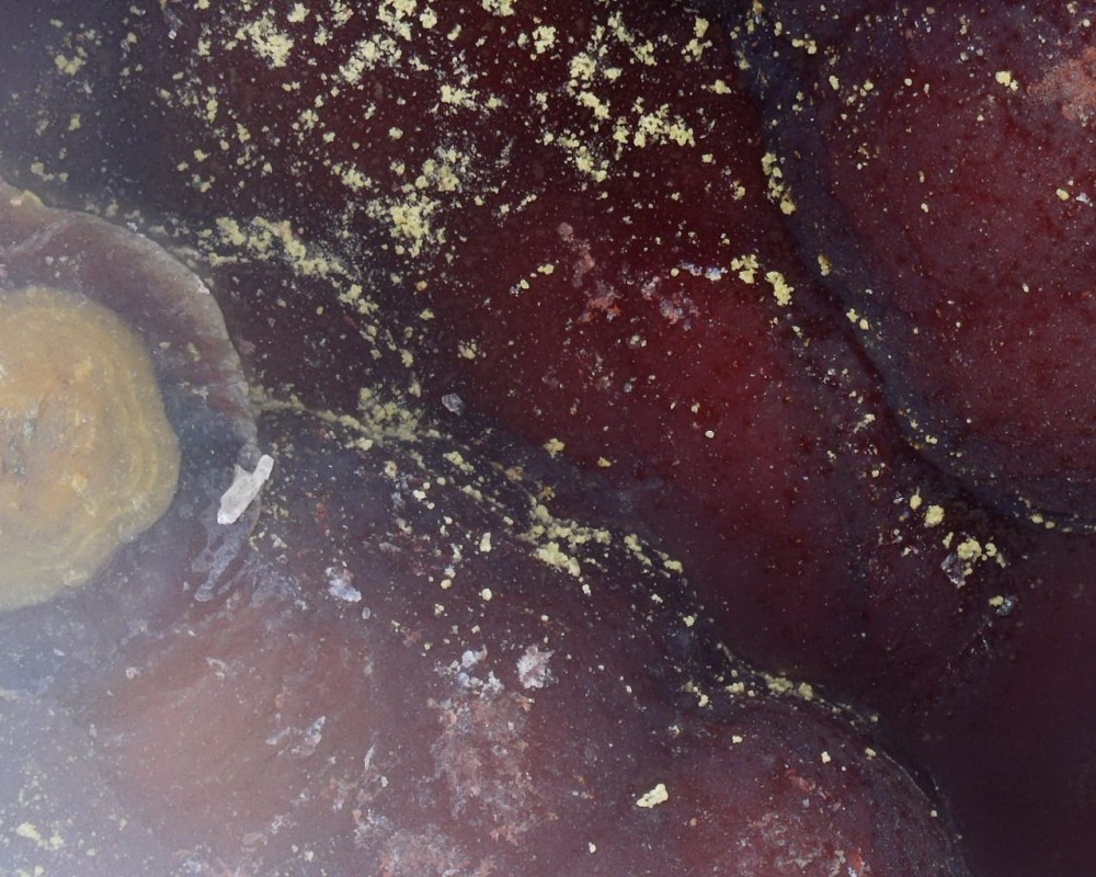 2023-01-17 17-07-59 (A,R1,S4).jpg