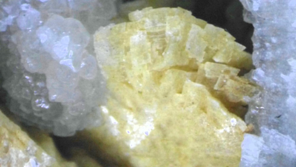 FOSSILODOLOMITE.jpg