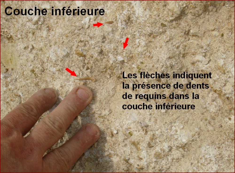 couche_inf_induree3.jpg