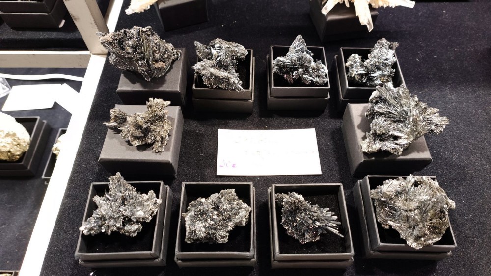 2023 bourse Nevers 28.jpg