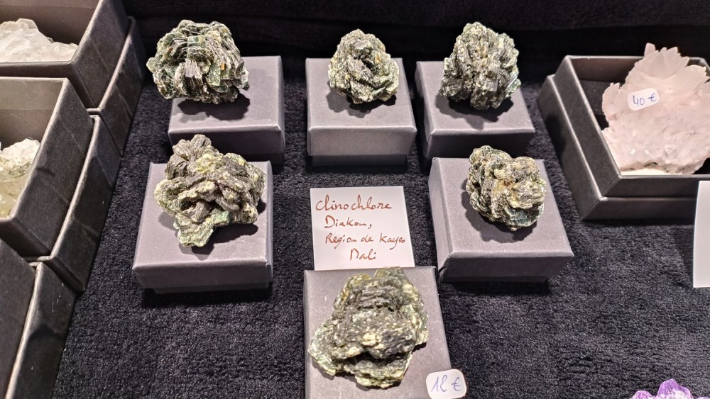 2023 bourse Nevers 29.jpg