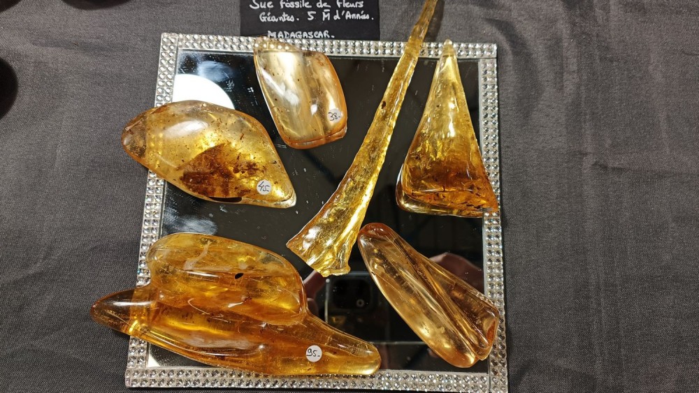 2023 bourse Nevers 25+.jpg