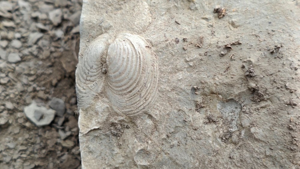 23 02 23 Rompon La Voulte 2.jpg