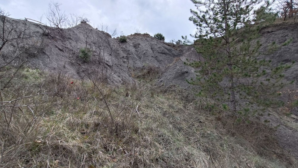 24 02 23 Rompon La Voulte 10.jpg