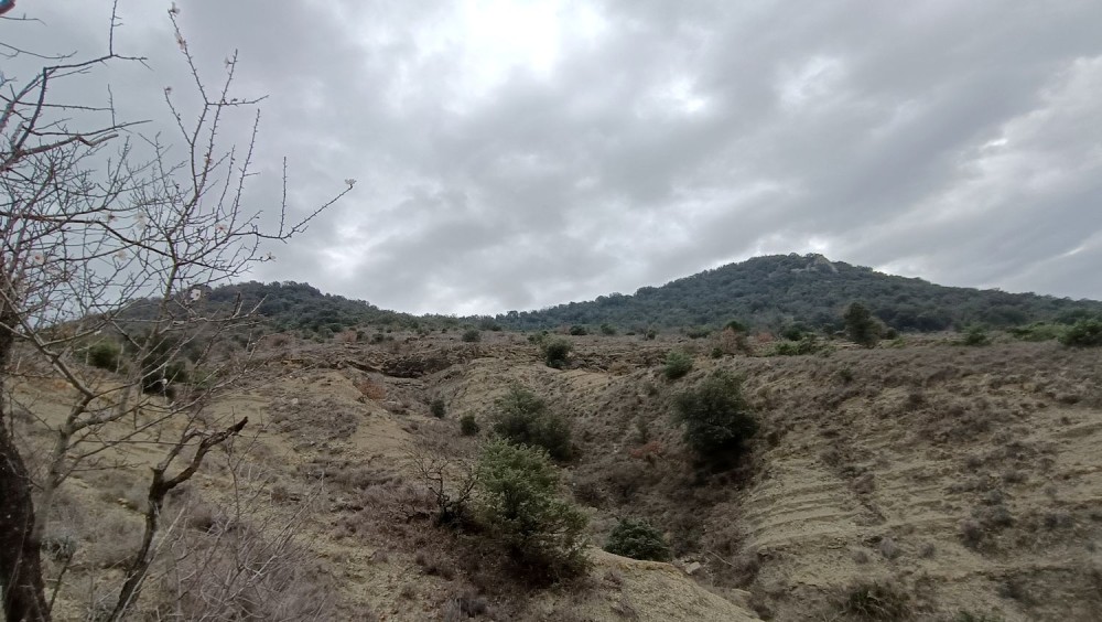 24 02 23 Rompon La Voulte 5.jpg