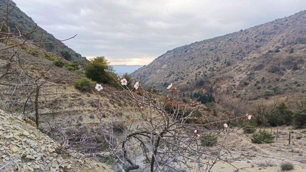 24 02 23 Rompon La Voulte 6.jpg