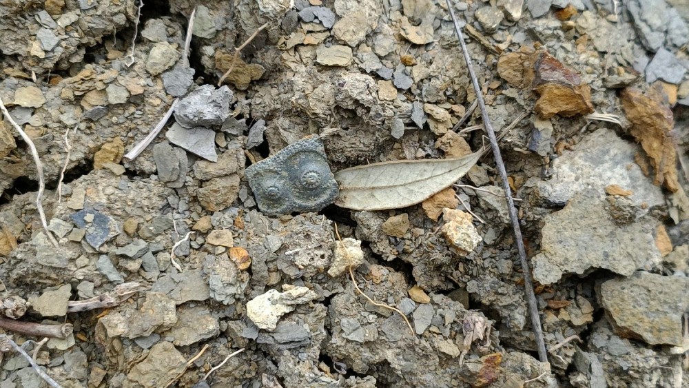 24 02 23 Rompon La Voulte 6+.jpg