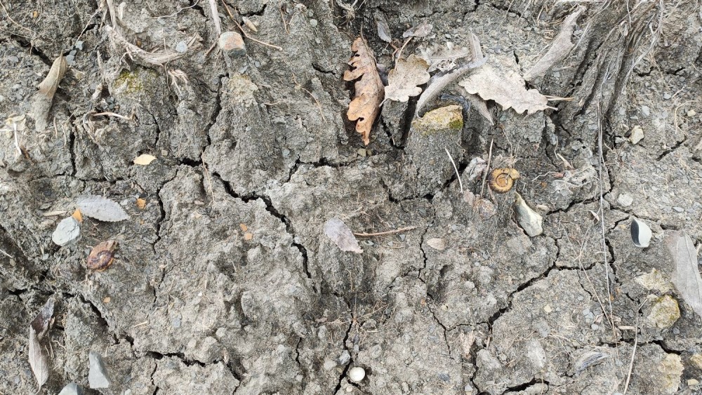 24 02 23 Rompon La Voulte 7.jpg