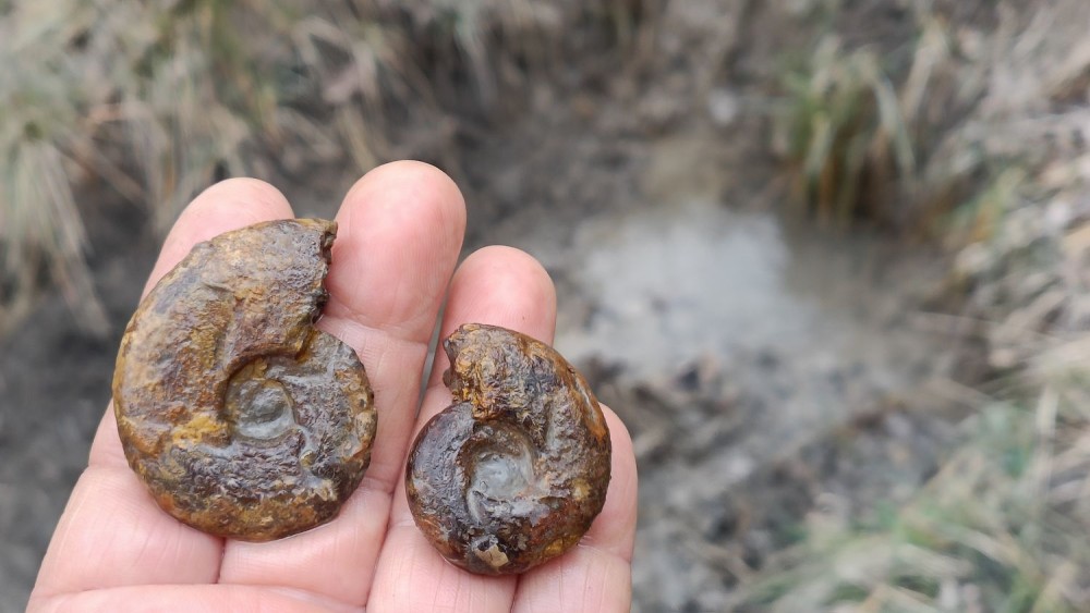 24 02 23 Rompon La Voulte 9.jpg