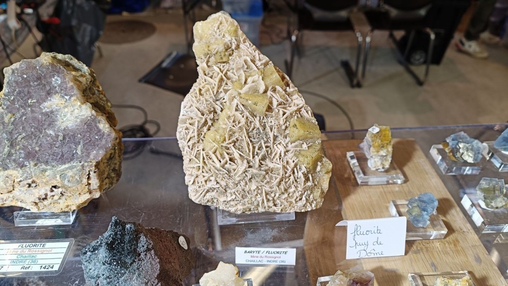 2023 bourse Nevers 23.jpg