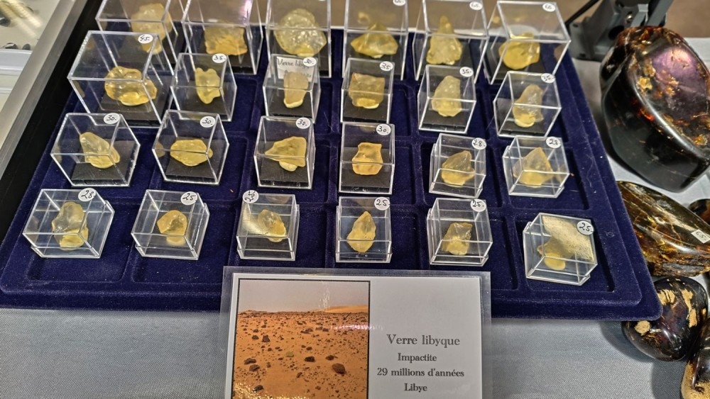 2023 bourse Nevers 38.jpg