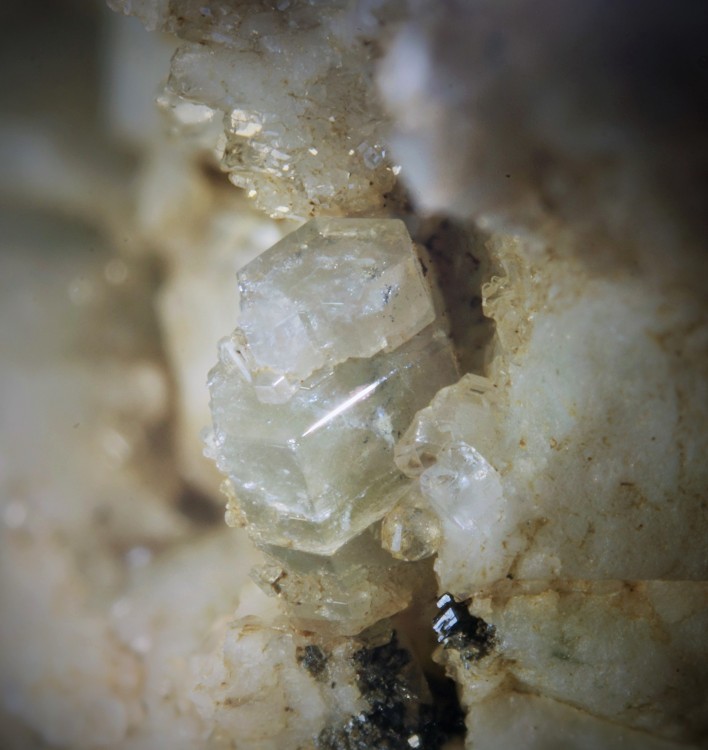 Apatite le Bari FOV 7 mm 021 (3).jpg