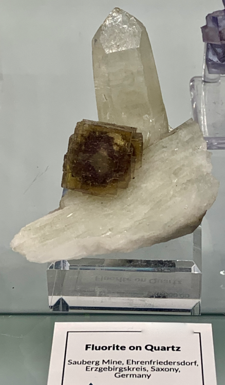 Capture d’écran 2023-02-11 à 10.37.36.png