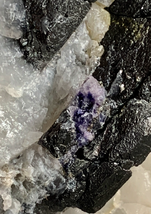 Capture d’écran 2023-02-11 à 23.22.32.png