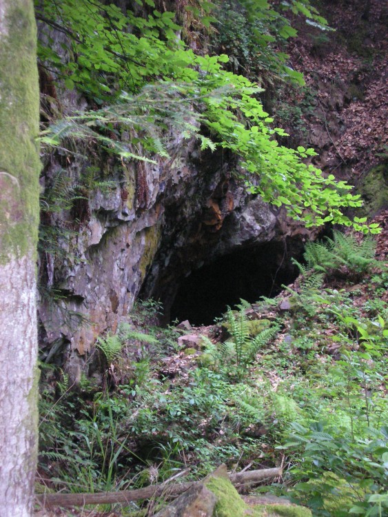 Entrée de la grotte.JPG