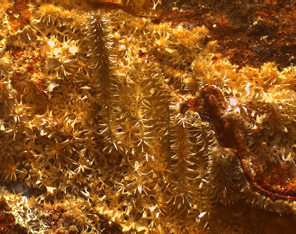 Fumade 69x57 s10.jpg