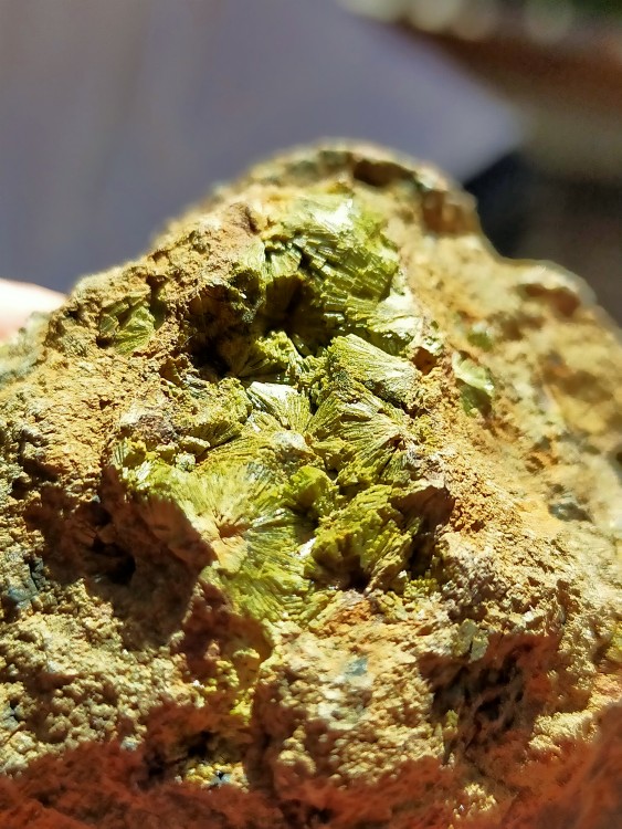 IMG20230213155423 (1).jpg