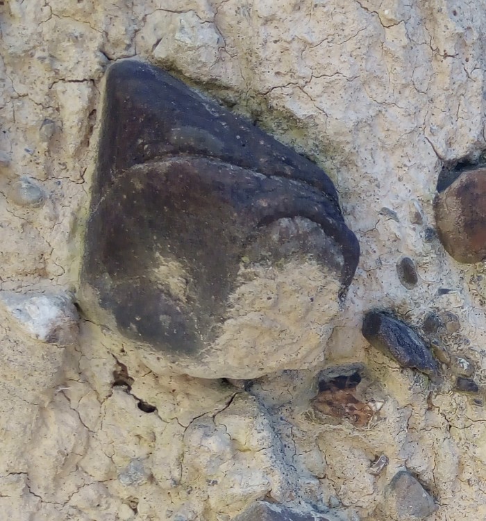 IMG_20230207_150957 - Copie.jpg