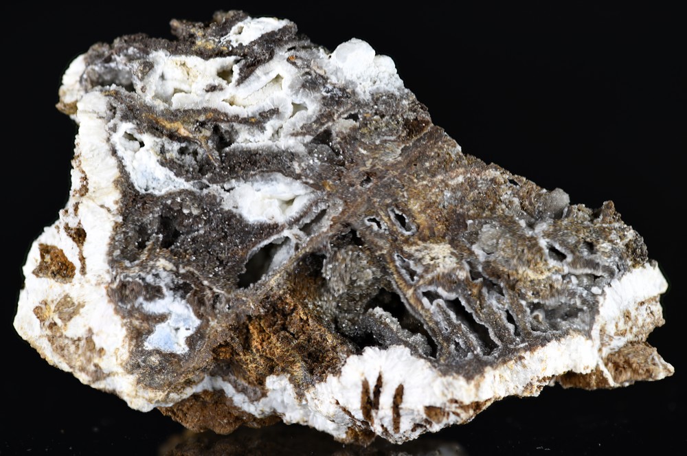 Lacorre2 stack de 7.jpg