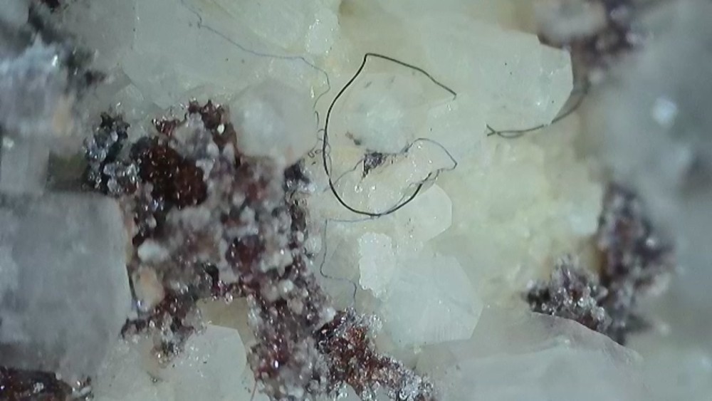 2023-03-25-134113478 (1).jpg