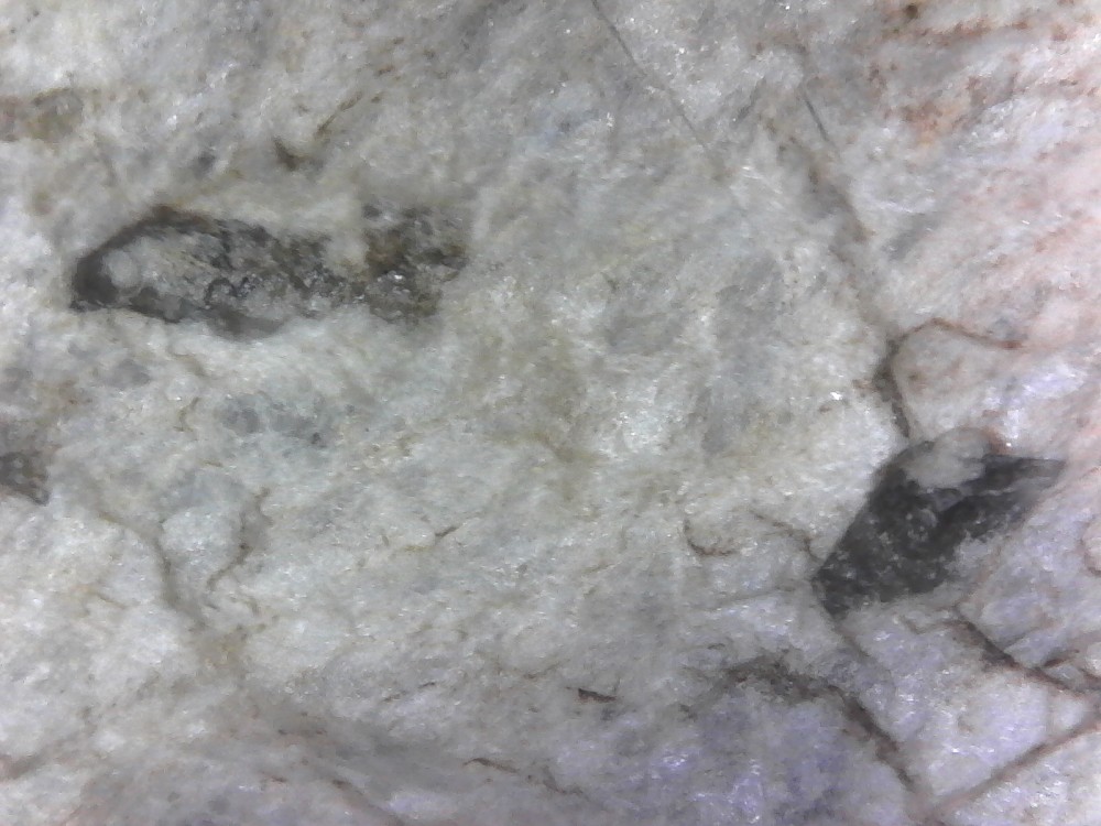 Albititite à zircon Urdach  RIP060303 (1).jpg