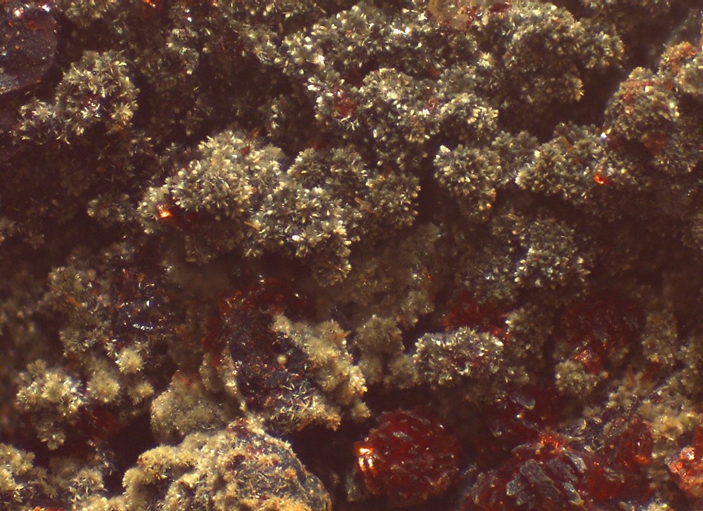 Fumade 31x22 s10.jpg