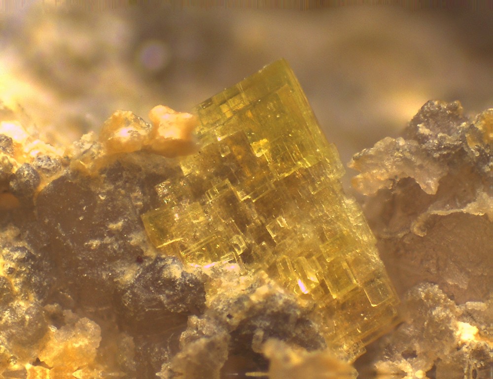 Puech Luego 31x23 s14.jpg