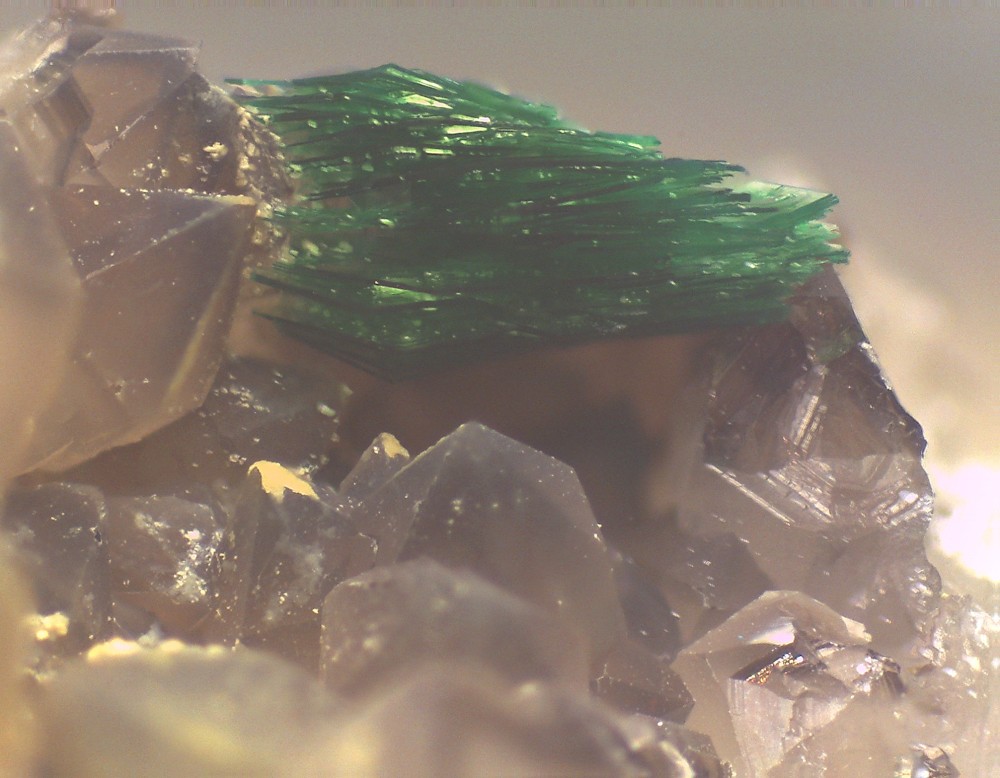 Puech Luego 44x33 s30.jpg