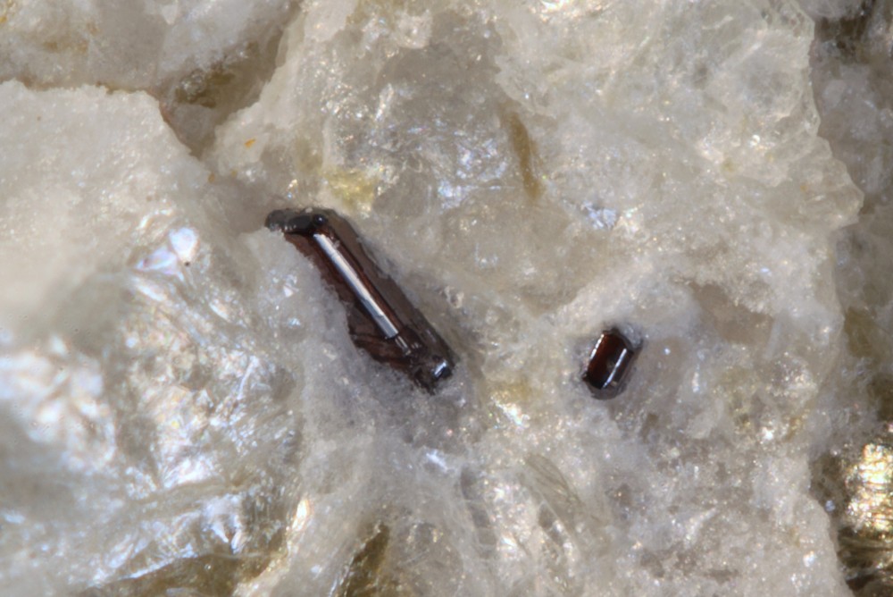 Rutile Arignac 005.jpg