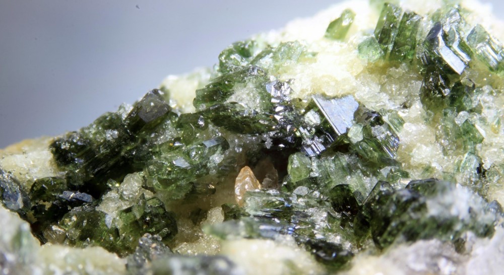 Titanite sur actinote Chaum FOV 9  mm 001 (2) (Copier).JPG