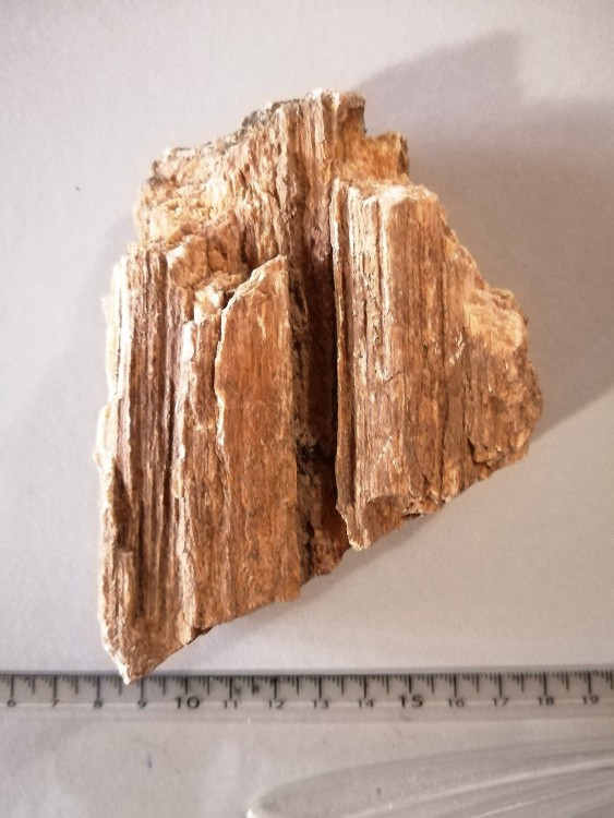 Wood_01.jpg