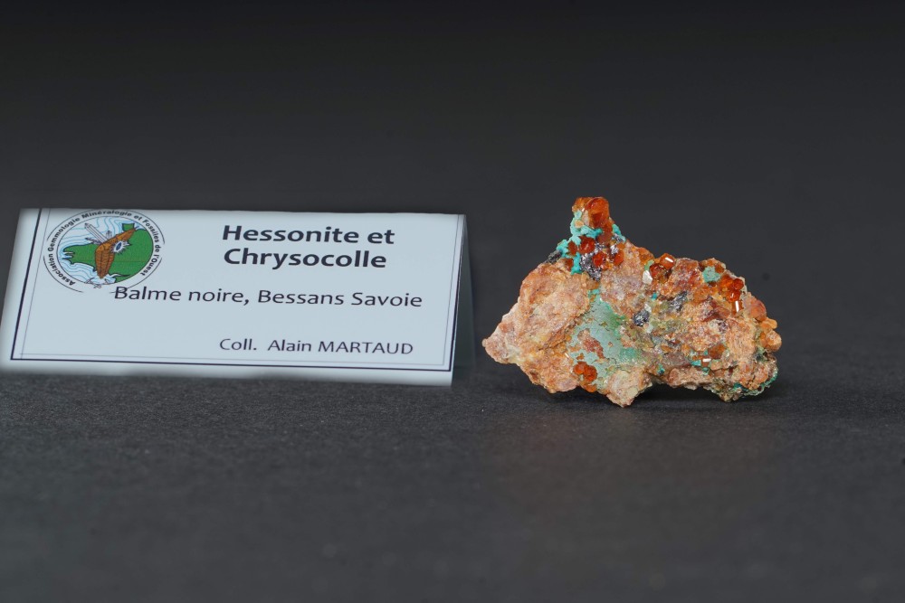 bessan chrysocolle.JPEG