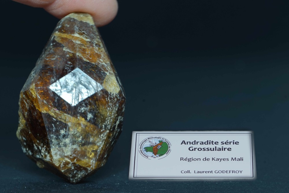 defomé trapezo.JPEG