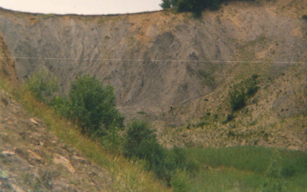 liesberg suisse6.jpg